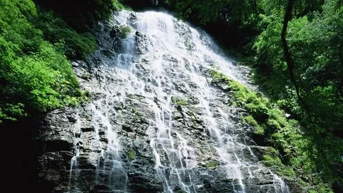 高标准高效电子